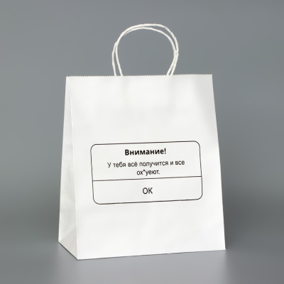 Пакет крафт У тебя все получится 24*14*28 см 1 шт  