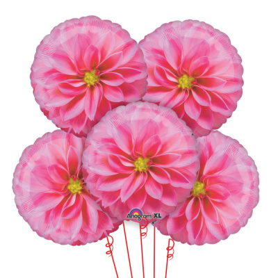 Букет Цветок Астра 