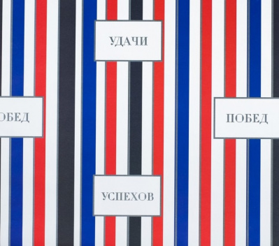 Бумага глянцевая Успехов 100*70 см 1 шт  