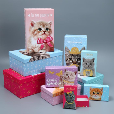 Коробка прямоуг Котики №6 22*14*8.5 см рис микс 1 шт Коробка прямоуг Котики №6 22*14*8.5 см рис микс 1 шт