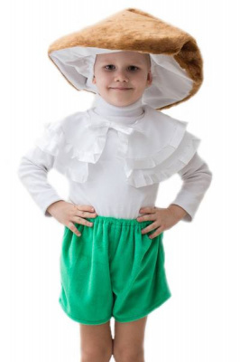 Костюм Гриб боровик рост 122-134 (шляпа,воротник,шорты) Костюм Гриб боровик рост 122-134 (шляпа,воротник,шорты)