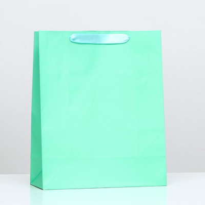 Пакет ламинат Бирюзовый 26*32*12 см 1 шт