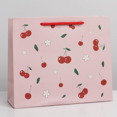 Пакет ламинат Вишневое настроение 23*9*19 см 1 шт