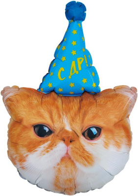 Шар фольга Фигура Котик в колпачке (FL) Шар фольга Фигура Котик в колпачке (FL)