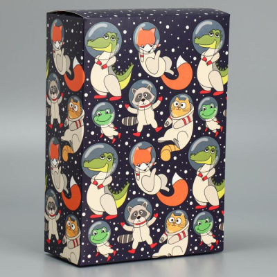 Коробка складная Космо мир 16*23*7,5 см 1 шт Коробка складная Космо мир 16*23*7,5 см 1 шт